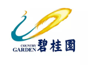 扬中碧桂园地产