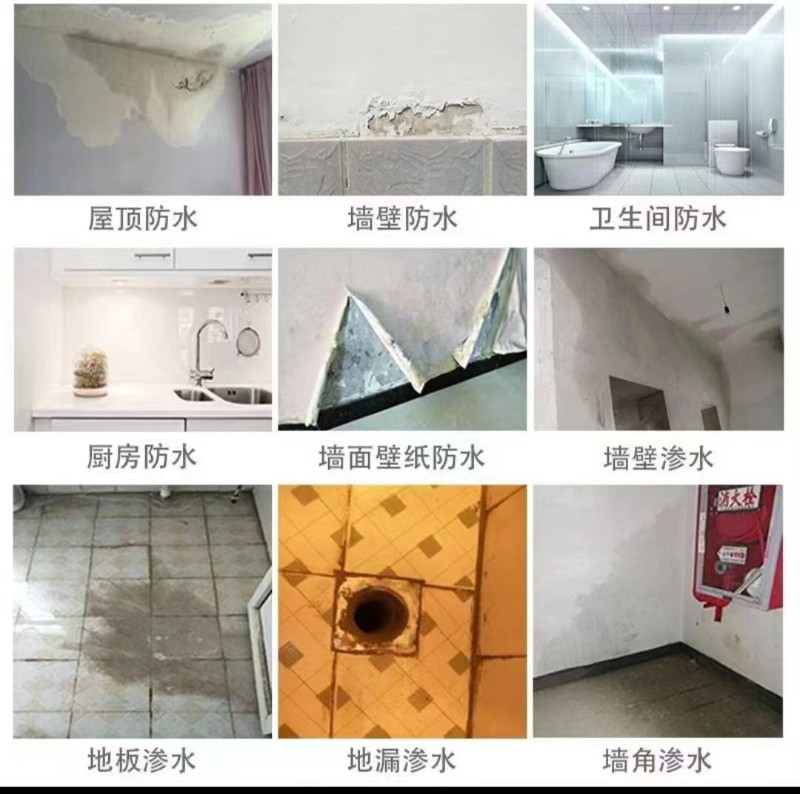 扬中建筑维保工程